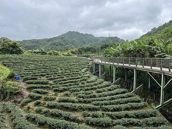 【親子景點】假日要帶寶寶去哪裡？推車友善的台北遛嬰親子友善好