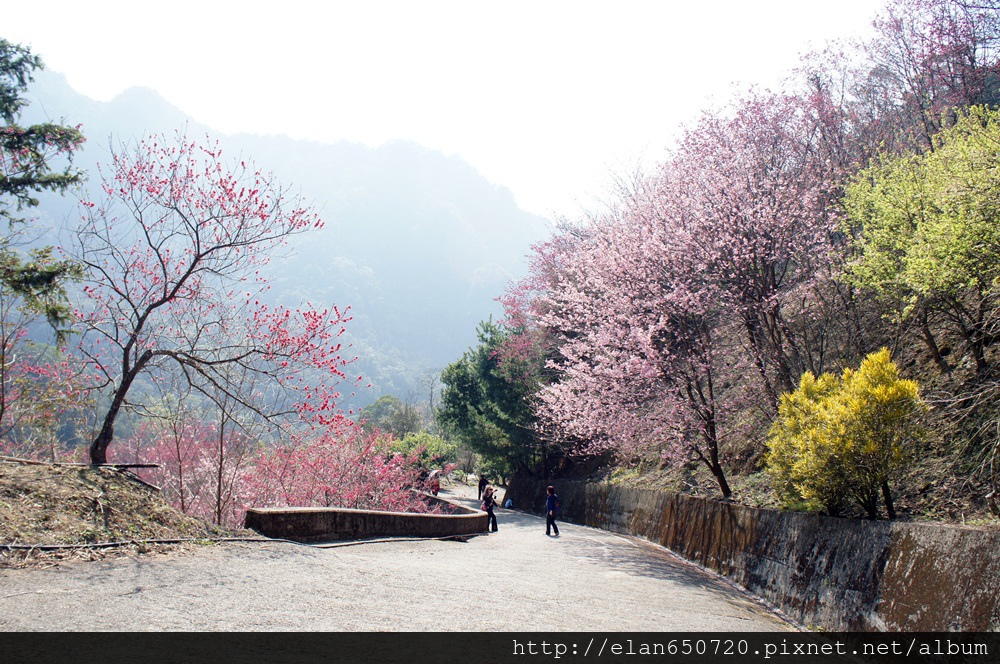 洗水山-12.JPG