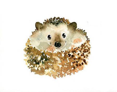 06a47f0237880072a1d821dcff64ad83--watercolor-animals-watercolour-paintings.jpg