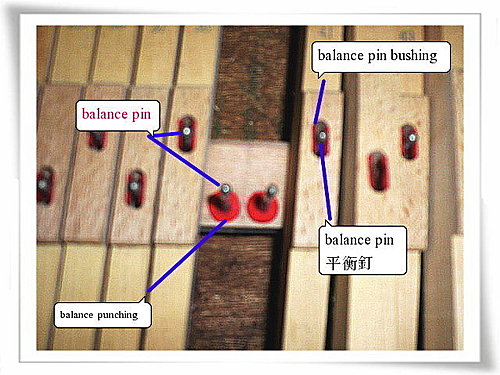 被衣蛾吃光的balance pin punching