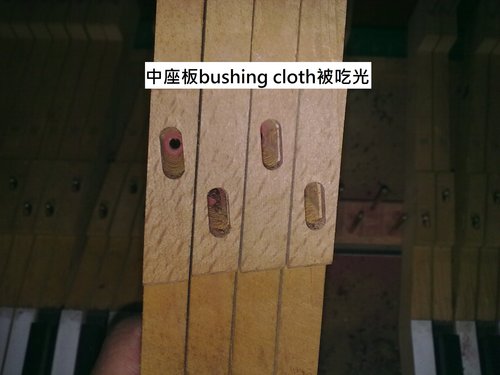 被衣蛾吃光的balance pin punching