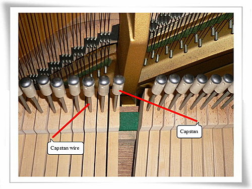 輕彈沒有聲音 輕彈沒有聲音