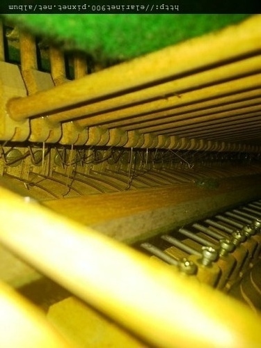 1整理過的 便宜中古琴-2 -butt flange cord