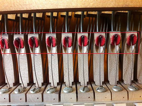 20180331_111640a 20180331_111640a