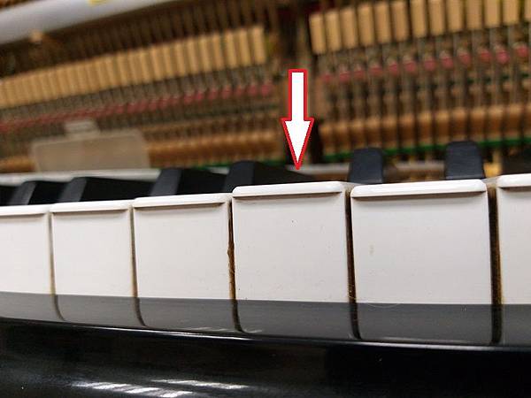 鍵盤太高 鍵盤太高