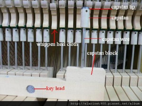 鋼琴的打弦系統