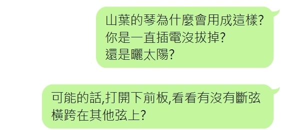 白蟻吃剩的鋼琴