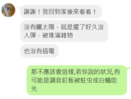 白蟻吃剩的鋼琴