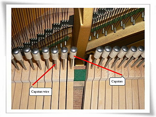 鋼琴用久了沒彈性-hammer跳動