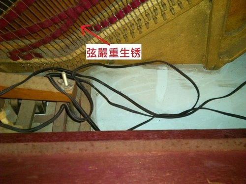 鋼琴調音 – 基本資料(二)