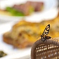 晚餐一景 桌上的彩蝶 