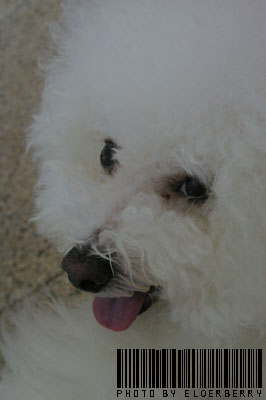 IMGP6712拷貝.jpg