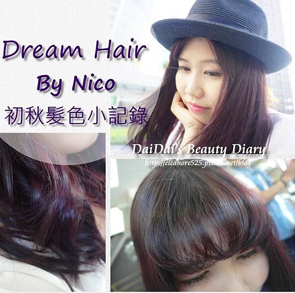 Dream Hair - Nico 染髮