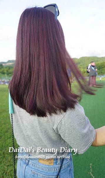 永和樂華 Dream Hair Nico 紫紅漸層染髮 