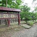 綠色隧道-32