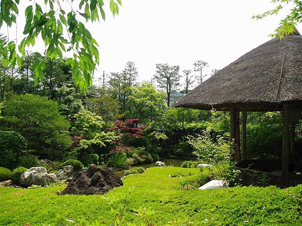 5/31 妙心寺 退藏院