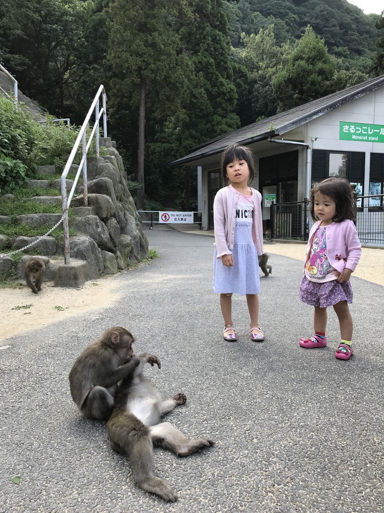 相片 2019-9-13 下午2 28 18.jpg