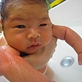 BABY MUSOON 023.jpg