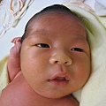 BABY MUSOON 026.jpg