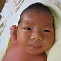 BABY MUSOON 027.jpg