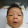 BABY MUSOON 051.jpg