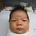 BABY MUSOON 053.jpg