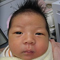 BABY MUSOON 075.jpg