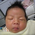 BABY MUSOON 077.jpg