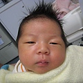 BABY MUSOON 078.jpg