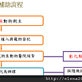 彰化-流程圖