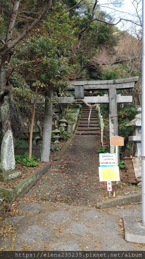 淡島水族館_181123_0018.jpg