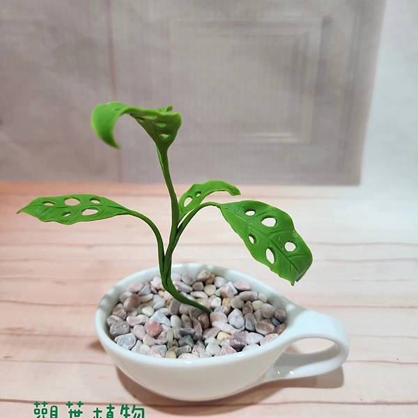 ♥黏土觀葉植物作品欣賞