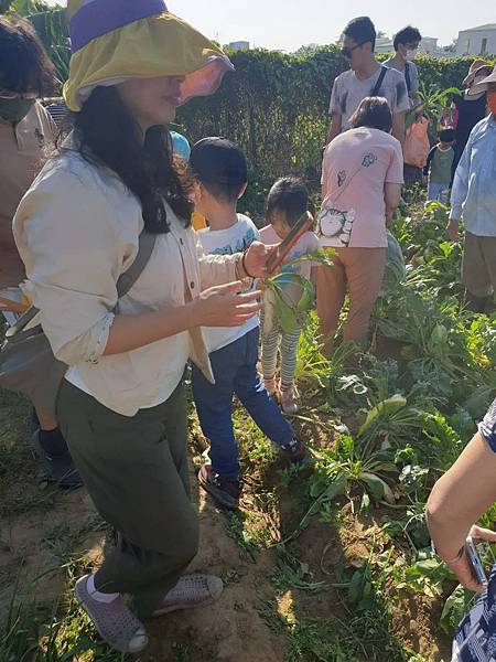 【瑪格莉納親子課程】免費一日農夫體驗‍拔蘿蔔親子活動