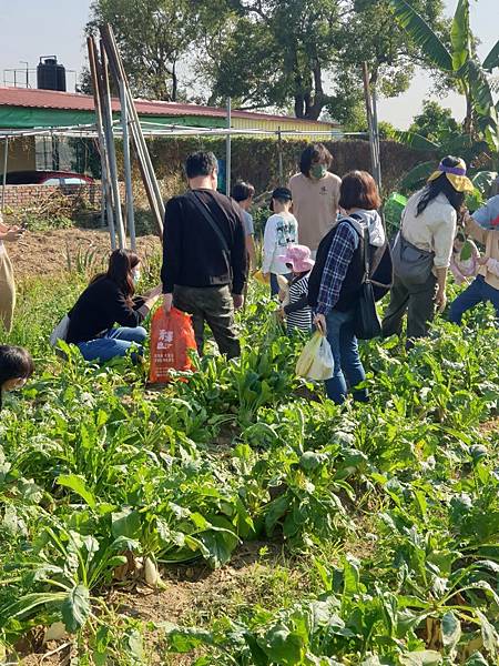 ♥【瑪格莉納親子課程】免費一日農夫體驗🧑‍🌾拔蘿蔔親子活動