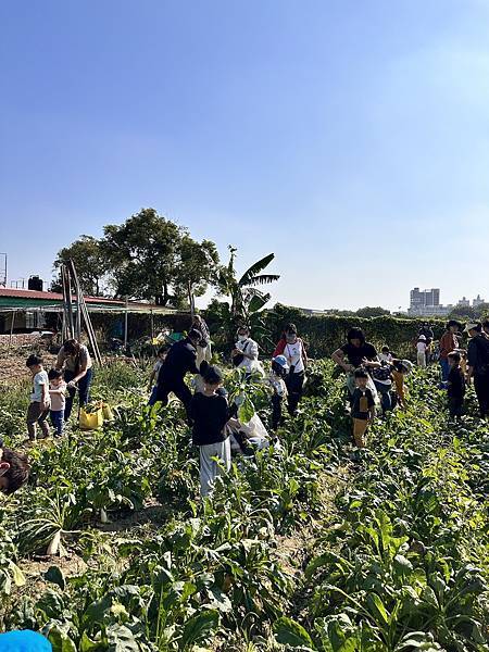 ♥【瑪格莉納親子課程】免費一日農夫體驗🧑‍🌾拔蘿蔔親子活動