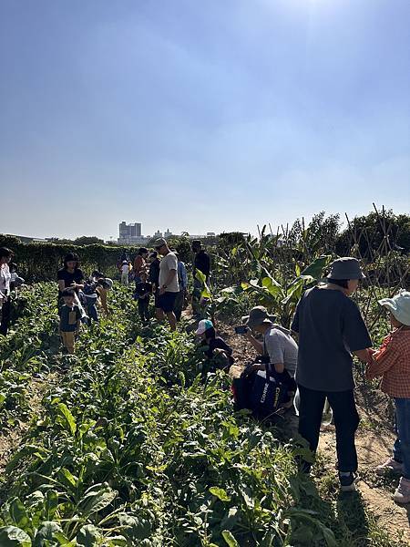 ♥【瑪格莉納親子課程】免費一日農夫體驗🧑‍🌾拔蘿蔔親子活動