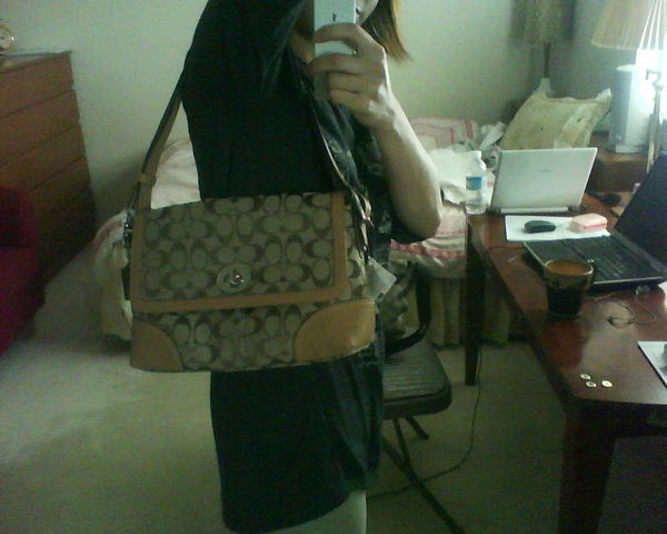 mom's bag 1.JPG