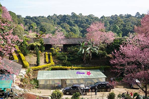 2015 chiang mai-67.jpg