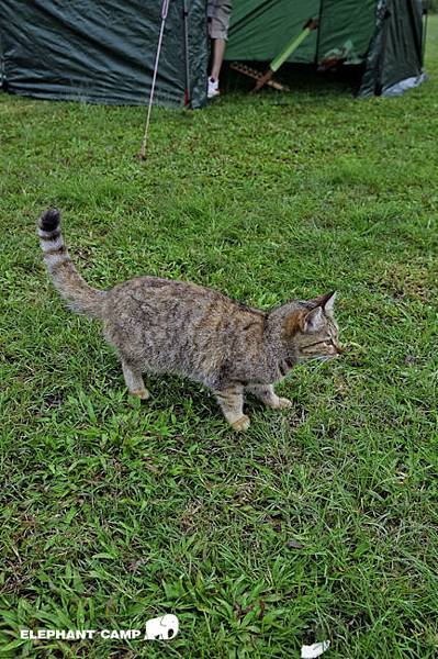 20130112-DSC_4670