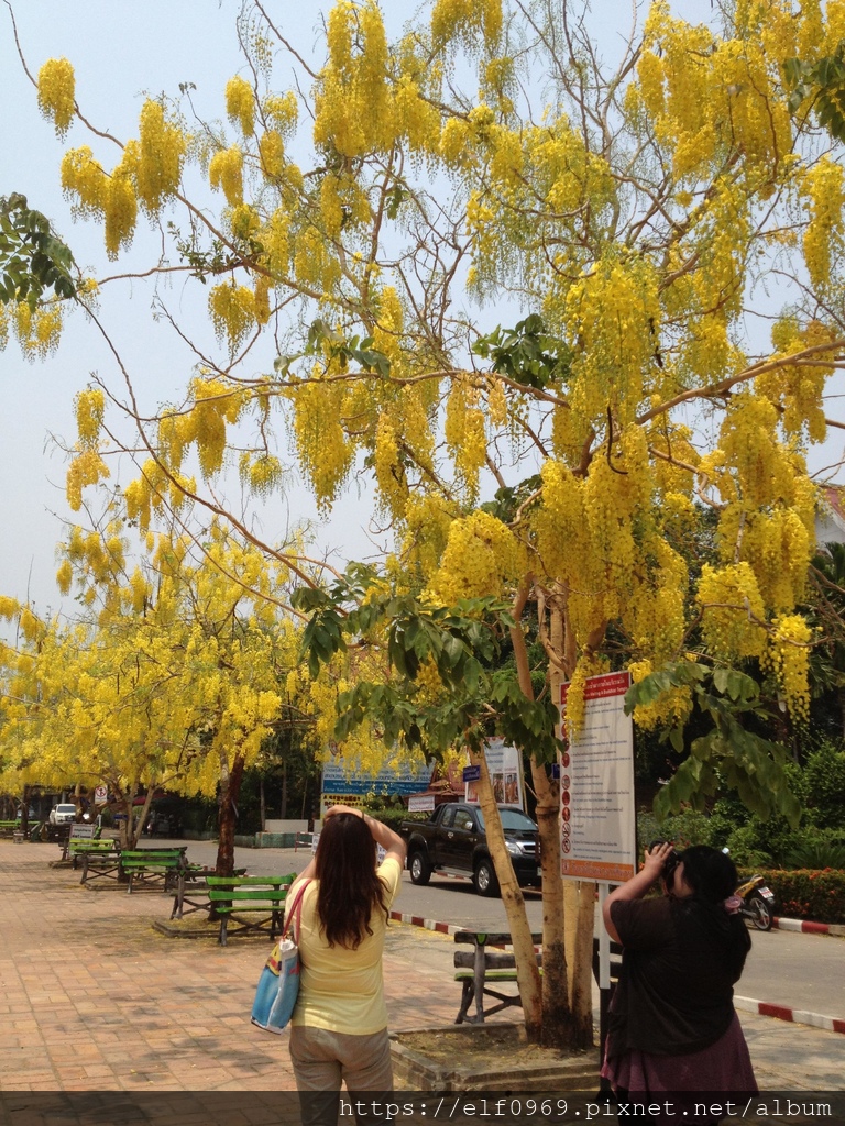 136 泰國清邁柴迪隆寺 2013.04.11-3(001).jpg