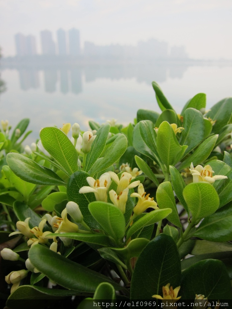 179 台灣高雄澄清湖 2011.03.20(001).jpg 179 台灣高雄澄清湖 2011.03.20(001).jpg