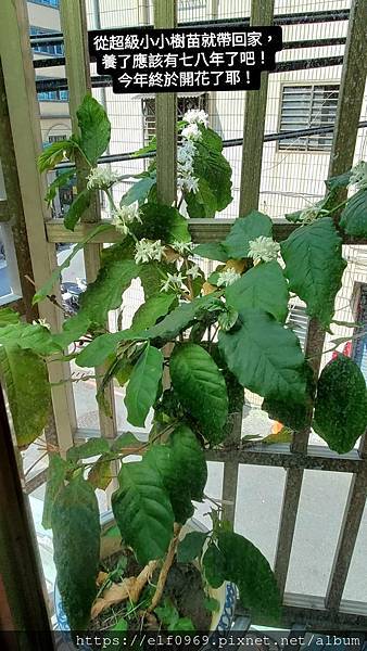 1330617.jpg 1330617.jpg