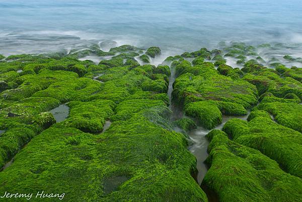 DSC09832-1.jpg DSC09832-1.jpg