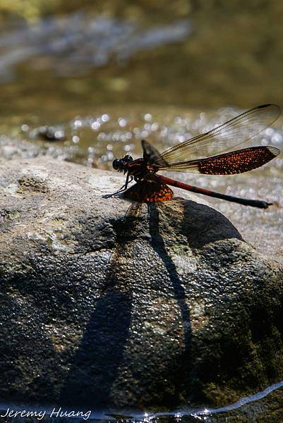 DSC00123-2.jpg DSC00123-2.jpg