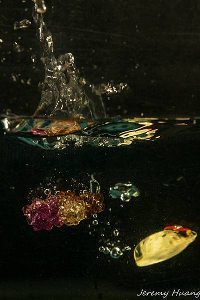 DSC04221-1.jpg DSC04221-1.jpg