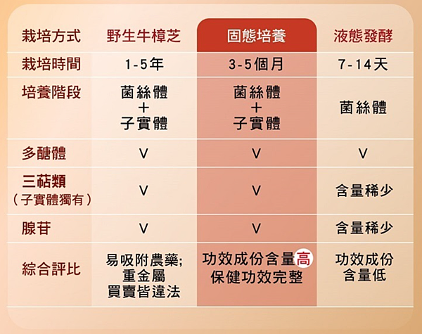 螢幕快照 2021-02-03 下午11.27.17