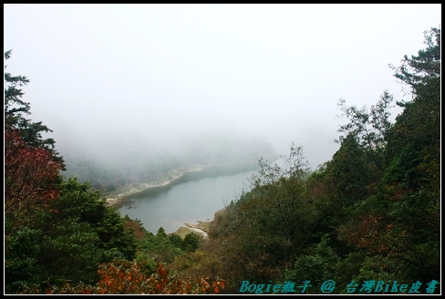 IMG_4269 IMG_4269