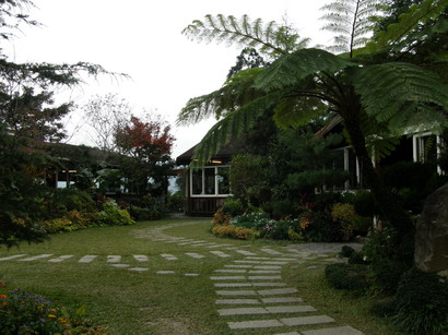 03.jpg 03.jpg