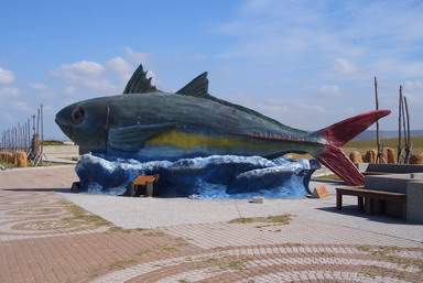 06.jpg 06.jpg