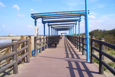 10.jpg 10.jpg